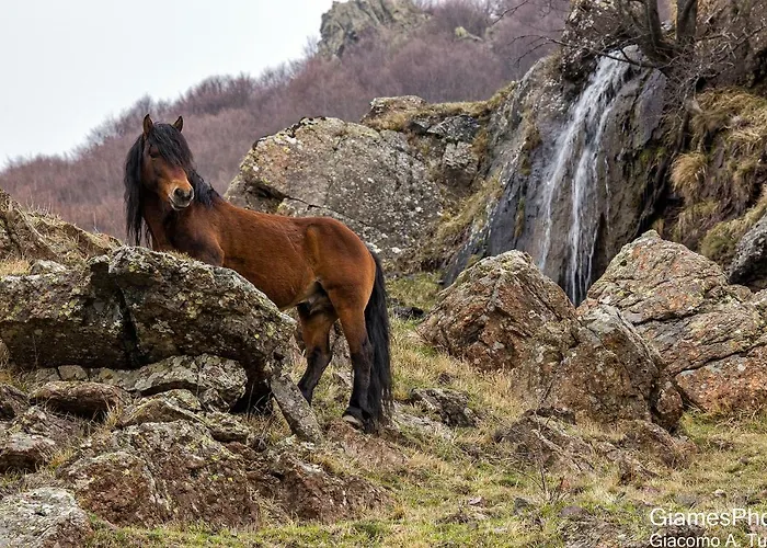 Apartmán Casa Della Posta