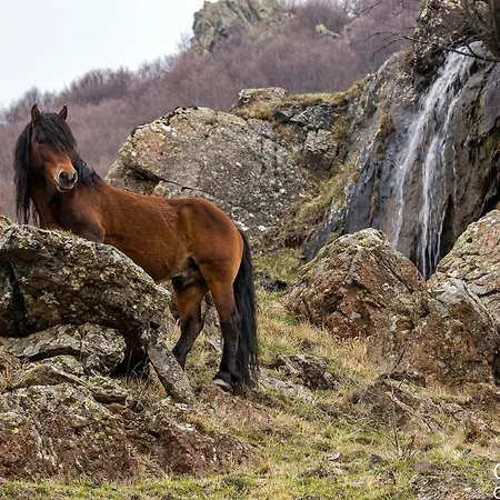 Appartement Casa Della Posta